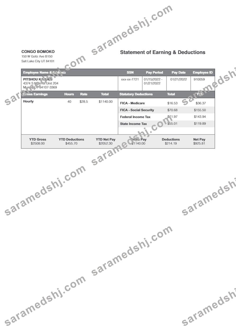 Congo Bomoko statement of earning & deductions template in Word and PDF formats.pdf, 3
